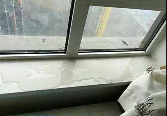 1634287060347733.jpg 3.jpg